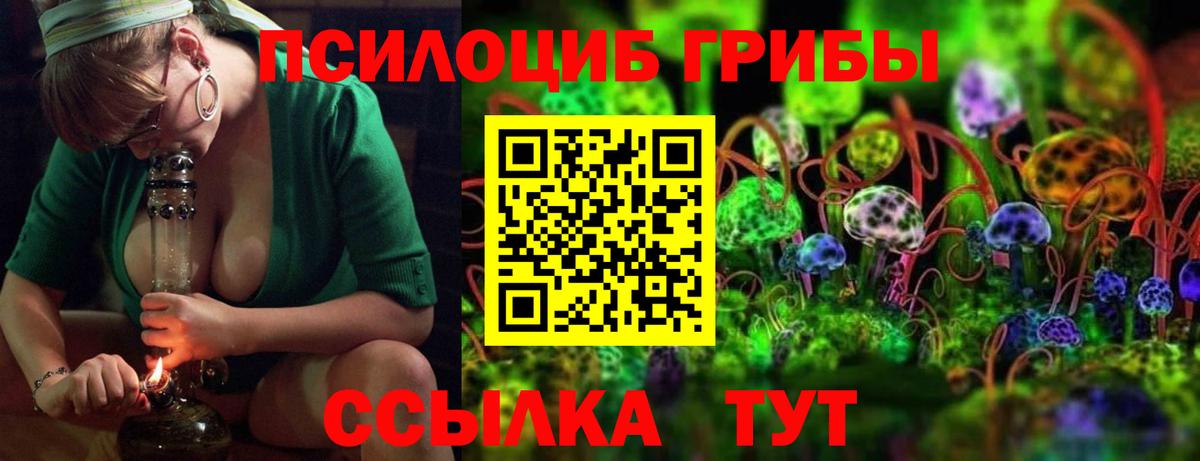 Нововоронеж  Галлюциногенные грибы мицелий  купить наркотик  Вход с VPN 